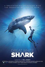 Watch Great White Shark 5movies