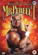 Watch The Life and Times of Mr. Perfect 5movies