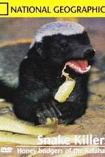 Watch National Geographic: Snake Killers Honey Badgers Of The Kalahari 5movies