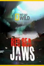 Watch National Geographic Red Sea Jaws 5movies