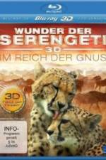 Watch The Wildebeest Migration Natures Greatest Journey 5movies