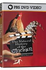 Watch The Natural History of the Chicken 5movies