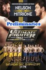 Watch The Ultimate Fighter 16 Finale Preliminary Fights 5movies