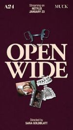 Watch Open Wide 5movies