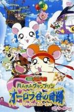 Watch Hamtaro Movie 3: Ham Ham Grand Prix 5movies