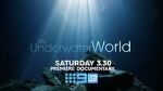 Watch My Underwater World (TV Special 2024) 5movies