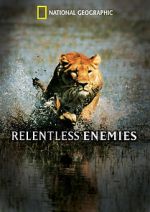 Watch Relentless Enemies 5movies