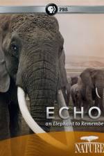 Watch Echo: An Elephant to Remember 5movies
