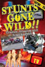 Watch Stunts Gone Wild: Crashes, Smashes & Road Rashes! 5movies