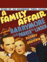 Watch A Family Affair 5movies