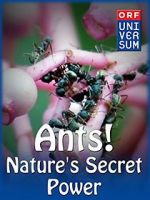 Watch Ants: Nature\'s Secret Power 5movies