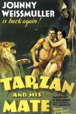 Watch Tarzan and His Mate 5movies