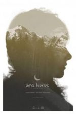 Watch Sea Horse 5movies