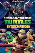 Watch Teenage Mutant Ninja Turtles: Enter Shredder 5movies
