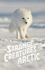 Watch Strange Creatures of the Arctic (TV Special 2022) 5movies