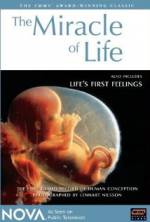Watch The Miracle of Life 5movies