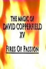 Watch The Magic of David Copperfield XV Fires of Passion 5movies