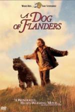 Watch A Dog of Flanders 5movies
