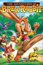 Watch The Adventures of Brer Rabbit 5movies