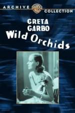 Watch Wild Orchids 5movies