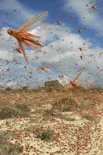 Watch Swarm Chasers: Locusts 5movies
