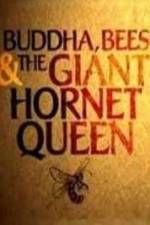 Watch Natural World Buddha Bees and the Giant Hornet Queen 5movies