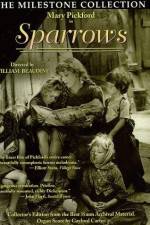 Watch Sparrows 5movies