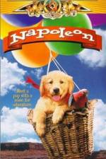 Watch Napoleon 5movies