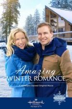 Watch Amazing Winter Romance 5movies