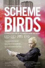 Watch Scheme Birds 5movies