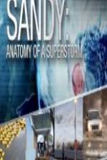 Watch Sandy Anatomy Of A Superstorm 5movies