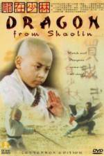 Watch Long zai Shaolin 5movies