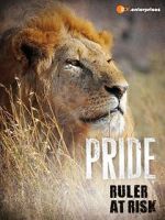 Watch Pride - Ruler\'s at Risk 5movies