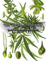 Watch The Hemp Conspiracy: The Most Powerful Plant in the World (Short 2017) 5movies