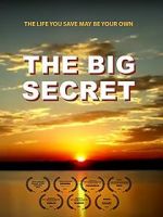 Watch The Big Secret 5movies