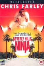 Watch Beverly Hills Ninja 5movies