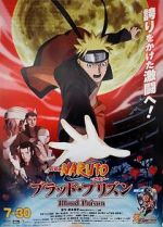 Watch Naruto Shippuden the Movie: Blood Prison 5movies