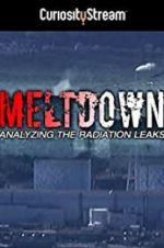 Watch Meltdown: Analyzing the Radiation Leaks 5movies