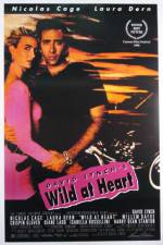 Watch Wild at Heart 5movies
