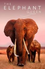 Watch The Elephant Queen 5movies