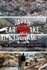 Watch Japan Aftermath of a Disaster 5movies