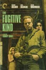 Watch The Fugitive Kind 5movies