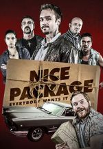 Watch Nice Package 5movies