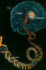 Watch Horizon: Miracle Cure? A Decade of the Human Genome 5movies
