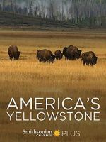 Watch America\'s Yellowstone 5movies
