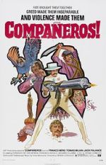 Watch Compaeros 5movies