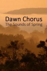 Watch Dawn Chorus: The Sounds of Spring 5movies