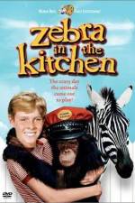 Watch Zebra in the Kitchen 5movies