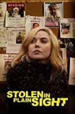 Watch Stolen in Plain Sight 5movies