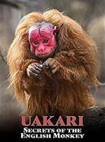 Watch Uakari: Secrets of the English Monkey 5movies